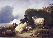 unknow artist Sheep 157 USA oil painting artist